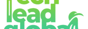 Tech Lead Global